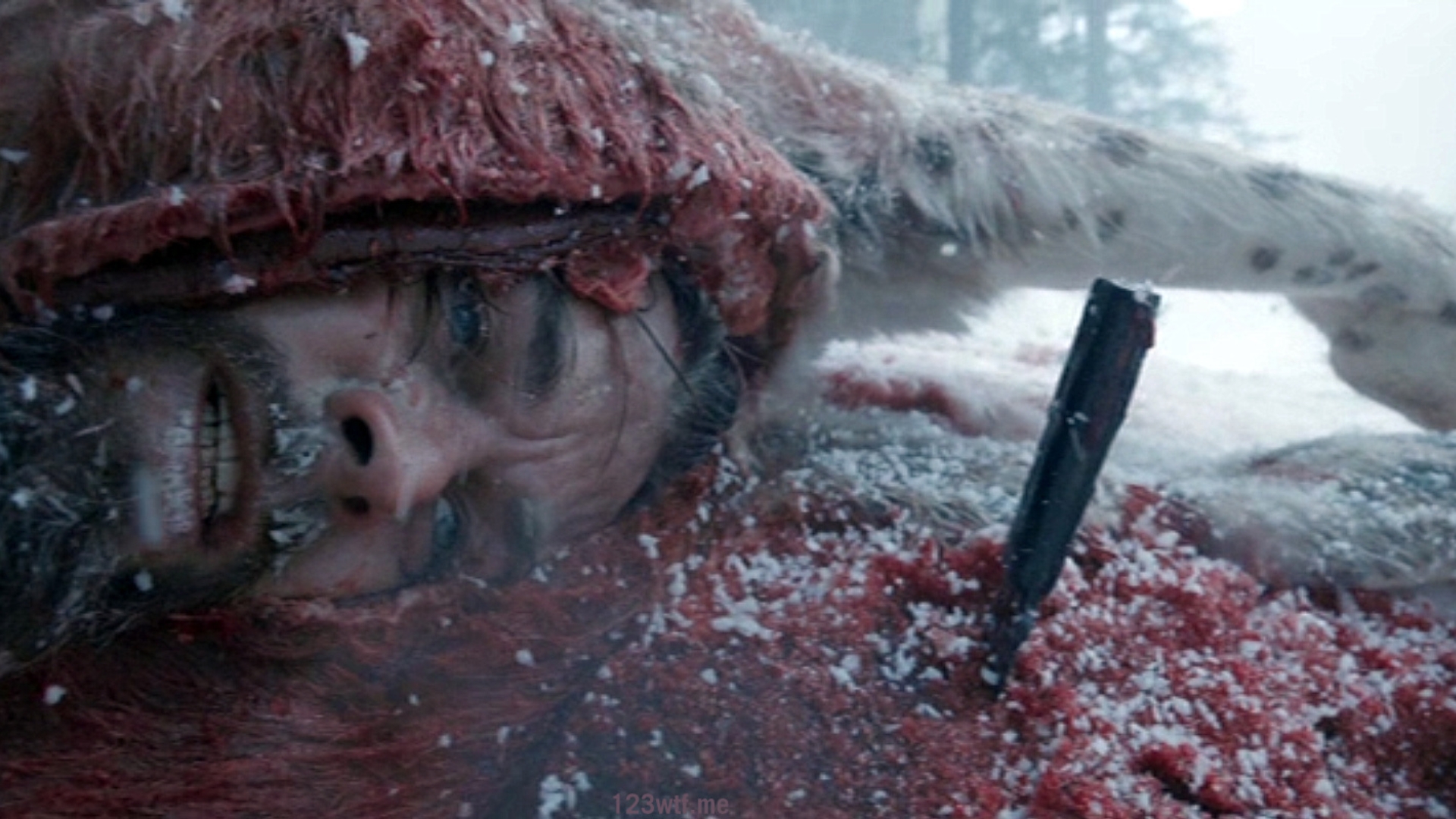 Leonardo DiCaprio dans un cheval mort dans The Revenant // Source : capture d'écran Youtube