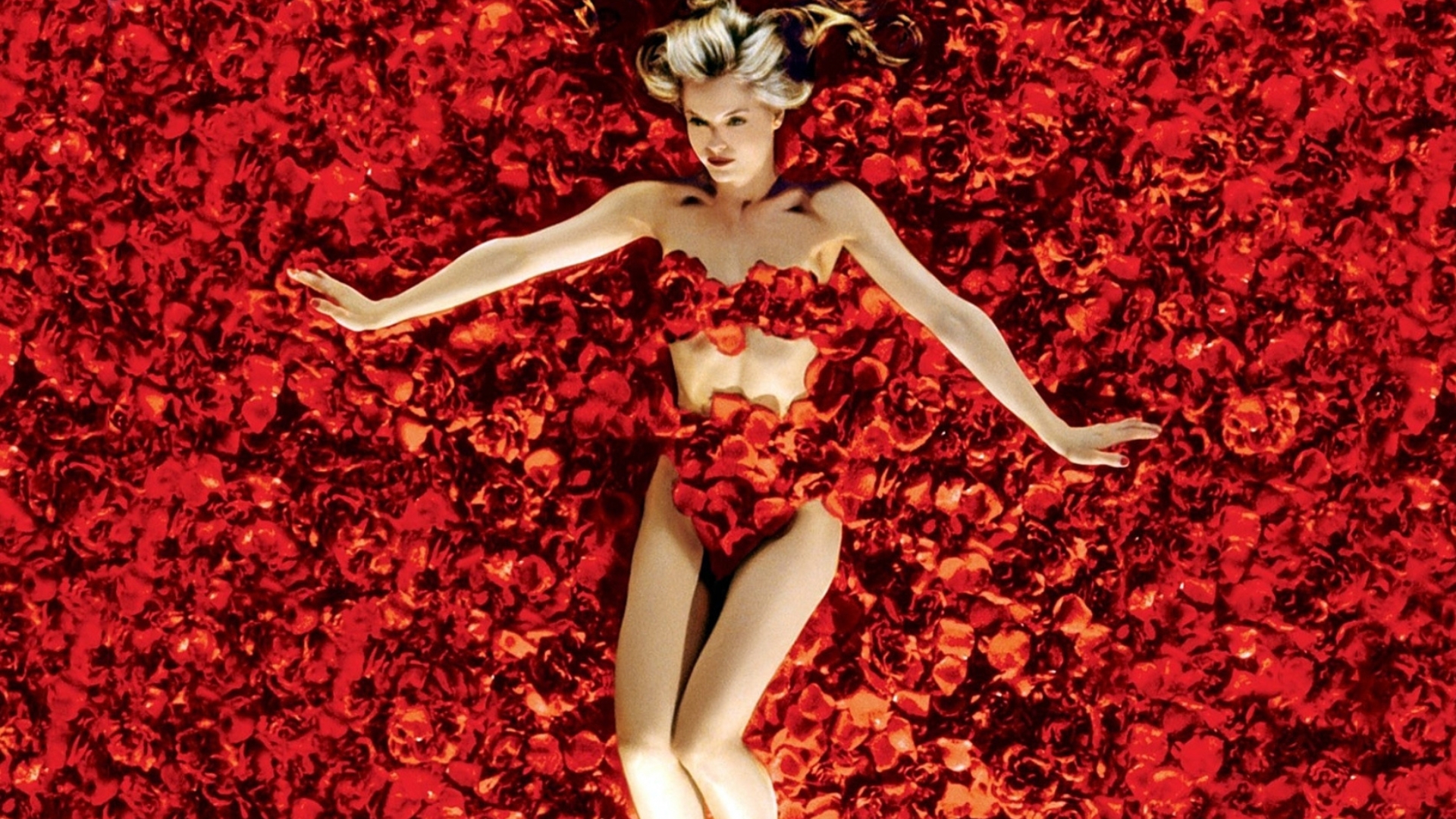 Mena Suvari  // Source : American Beauty