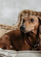 Source : Source Pexel