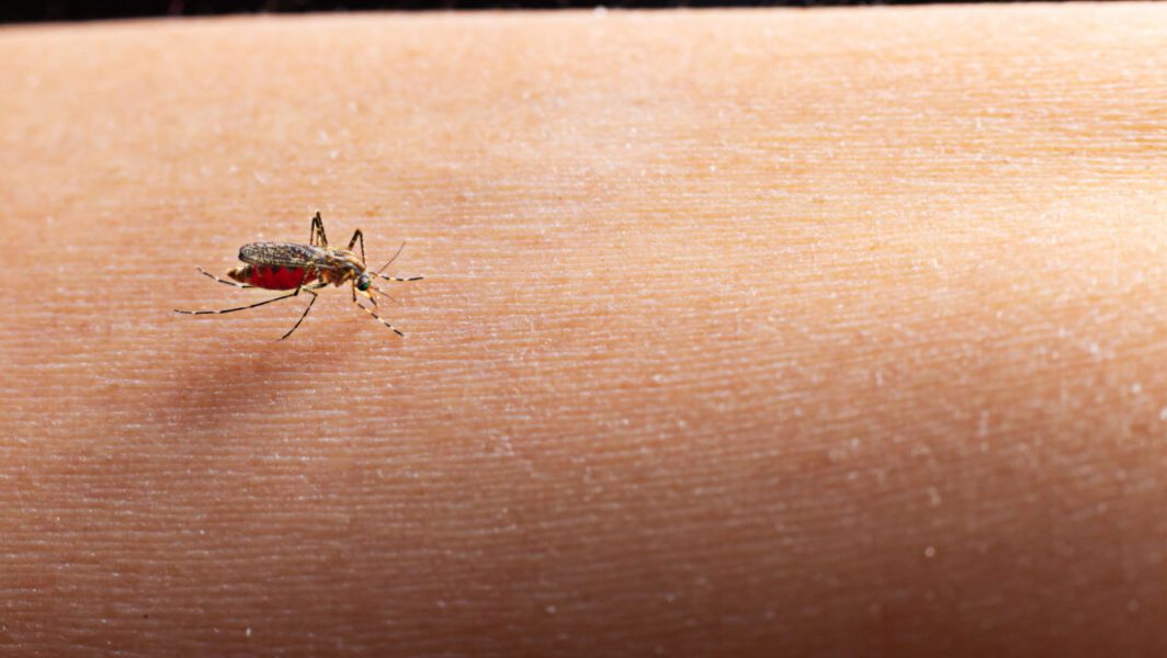 Image by jcomp on Freepik