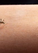 Image by jcomp on Freepik