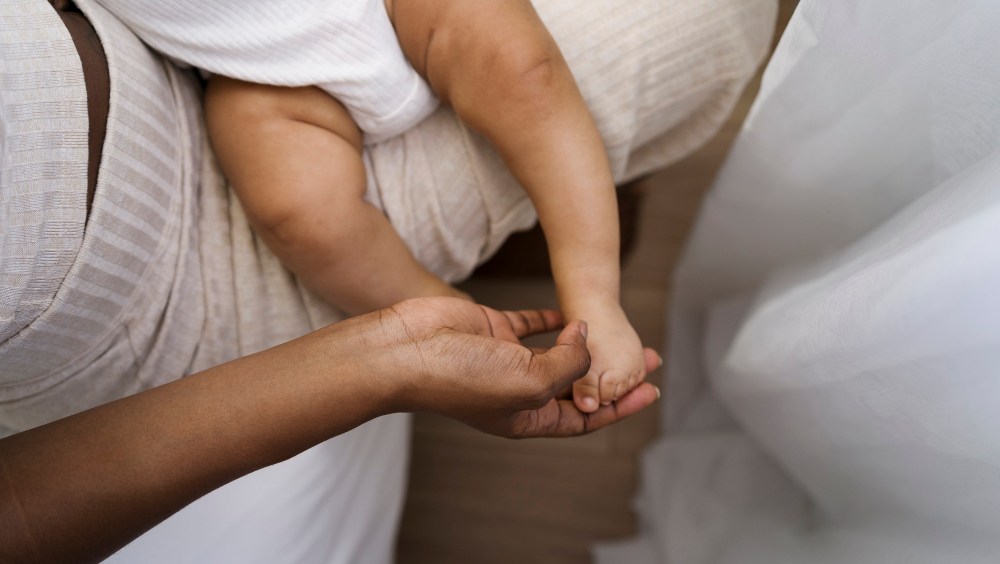 natalite france plan vautrin