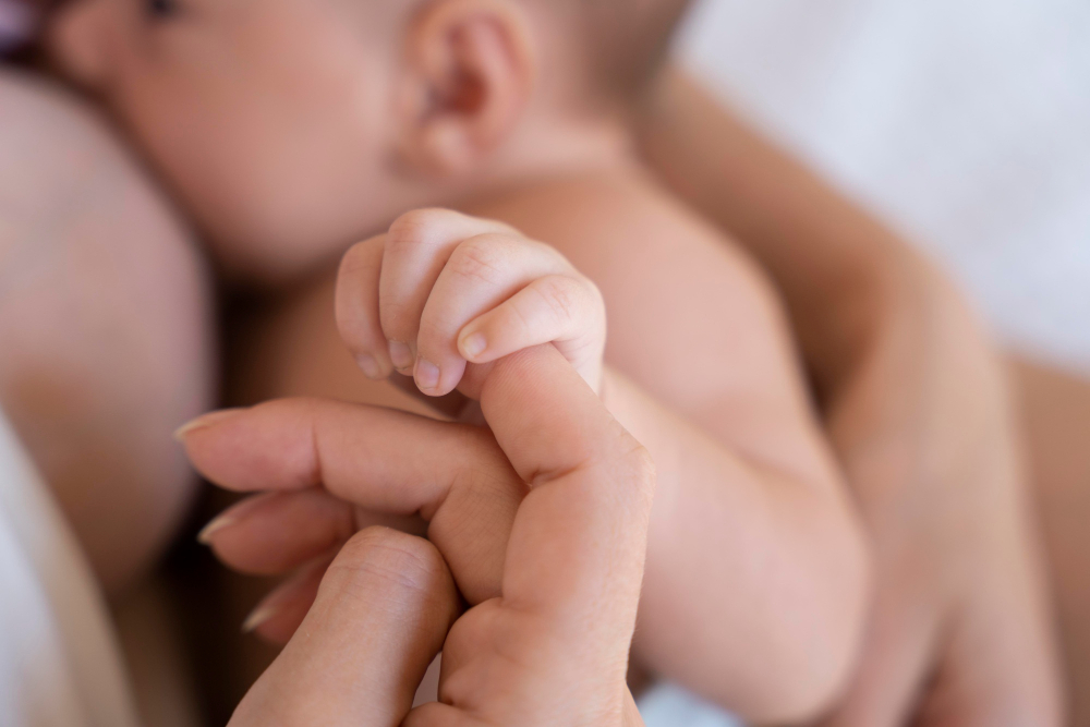 Birth record: everything that will change for families in 2026