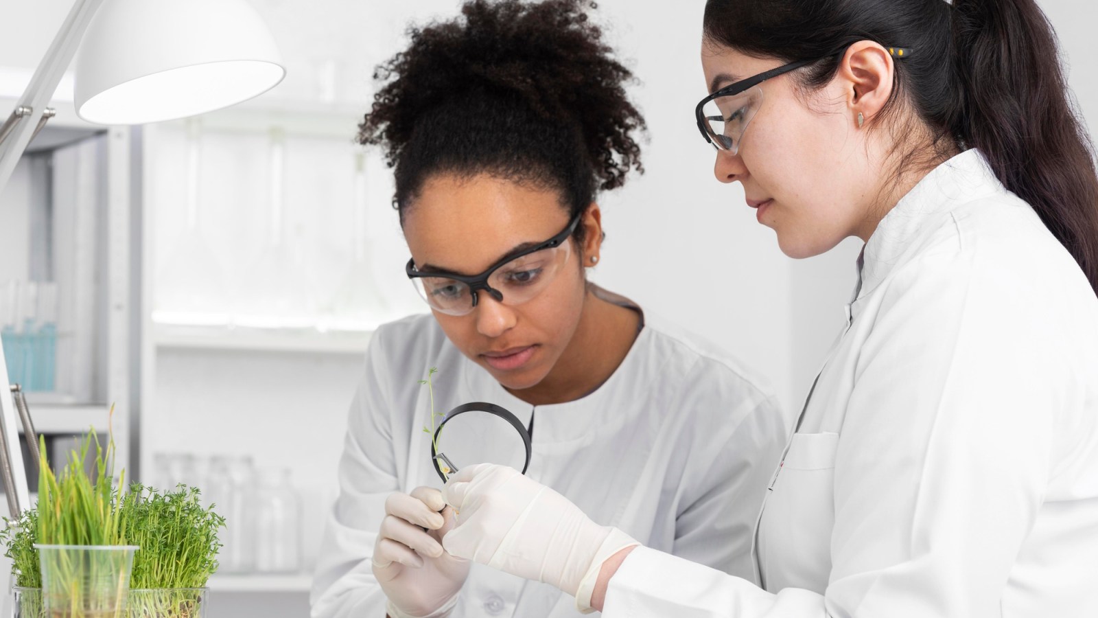 Science Festival 2025: the power of women to motivate the new generation of scientists