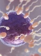 Image by freepik Image by freepik