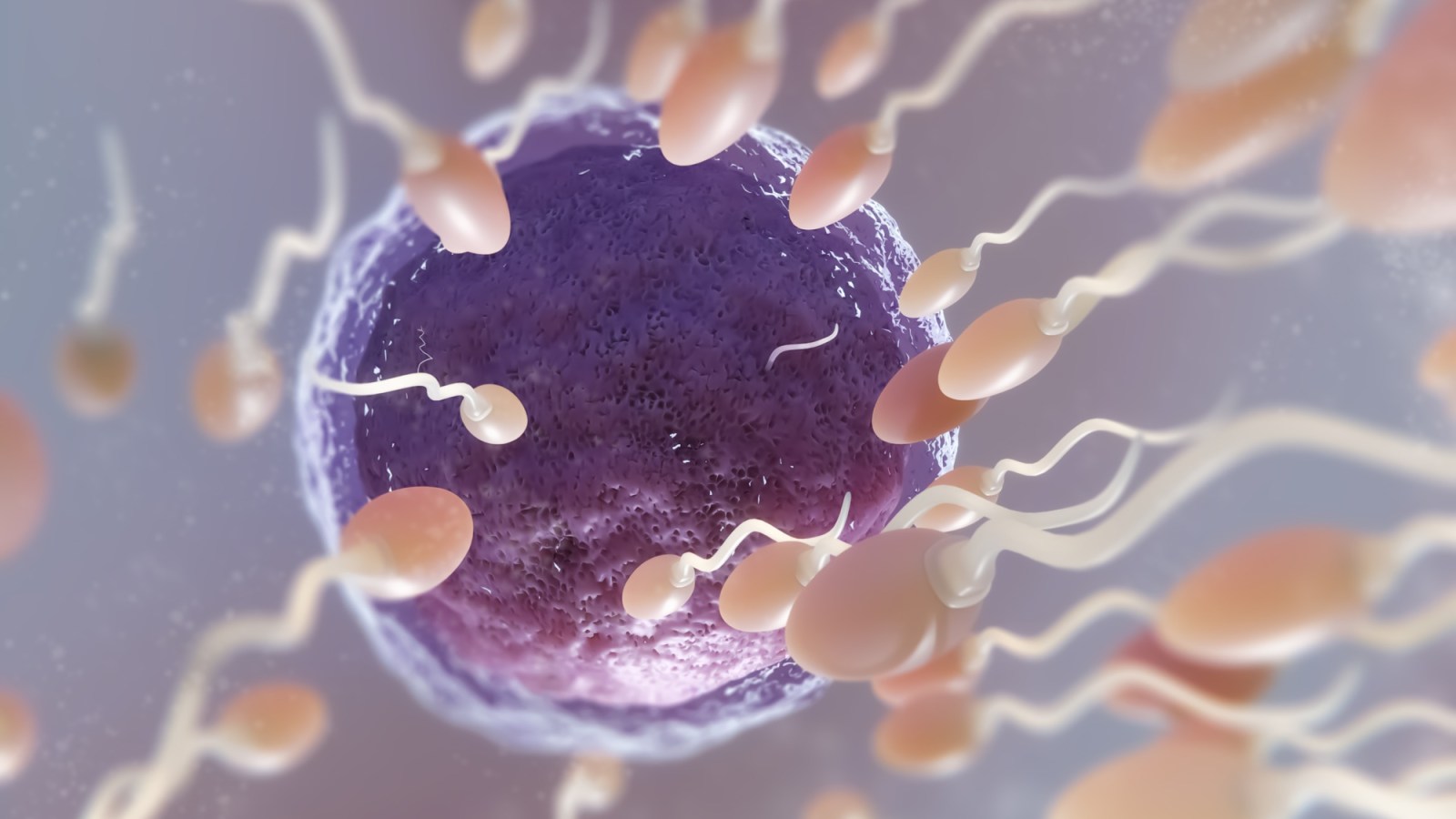 “Sperm robot” to cure infertility? A scientific revolution underway