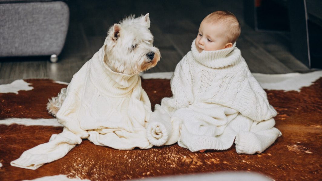 Image by senivpetro on Freepik