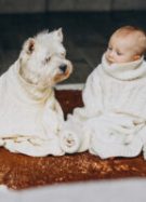 Image by senivpetro on Freepik Image by senivpetro on Freepik