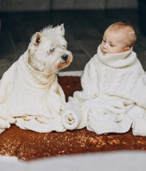 Image by senivpetro on Freepik