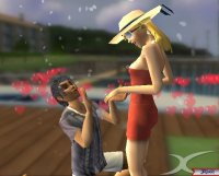 Les Sims adapté au grand écran