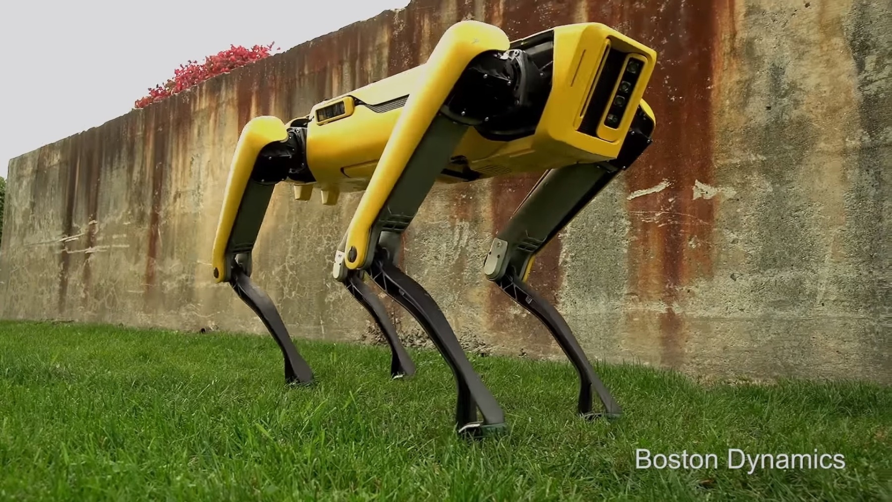 spot mini boston dynamics