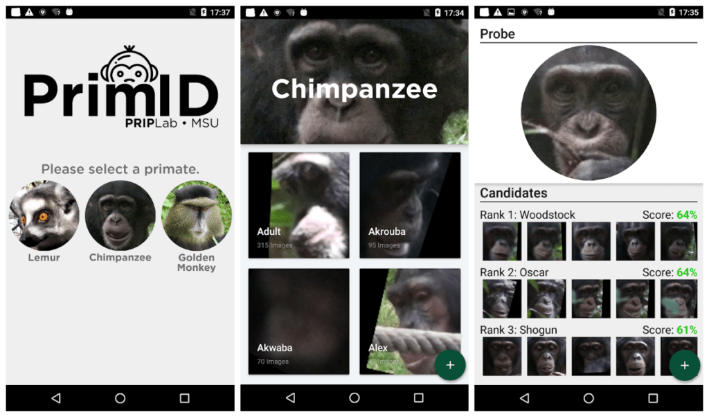 primates app
