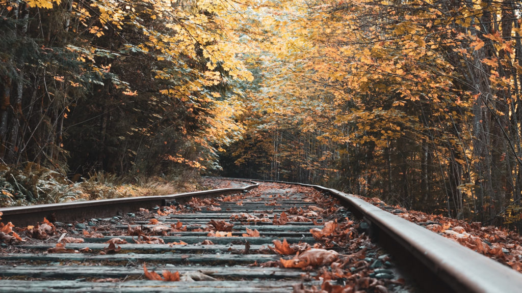 automne feuilles train