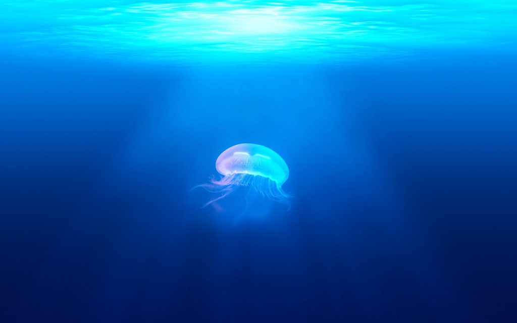 ocean meduse bleu