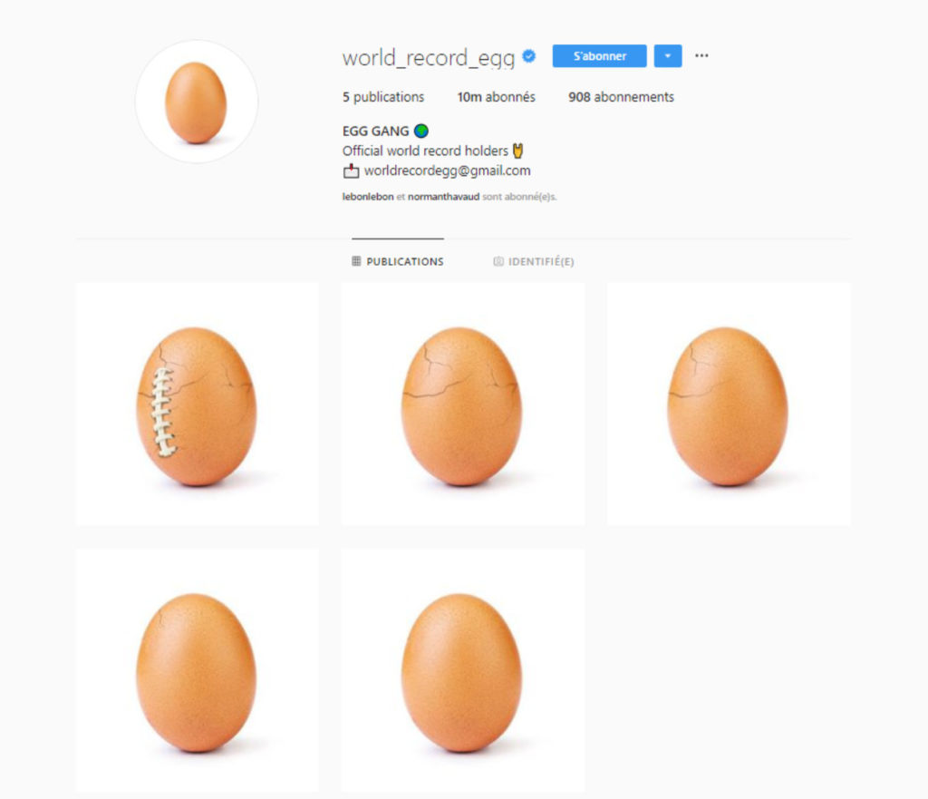 world-record-egg
