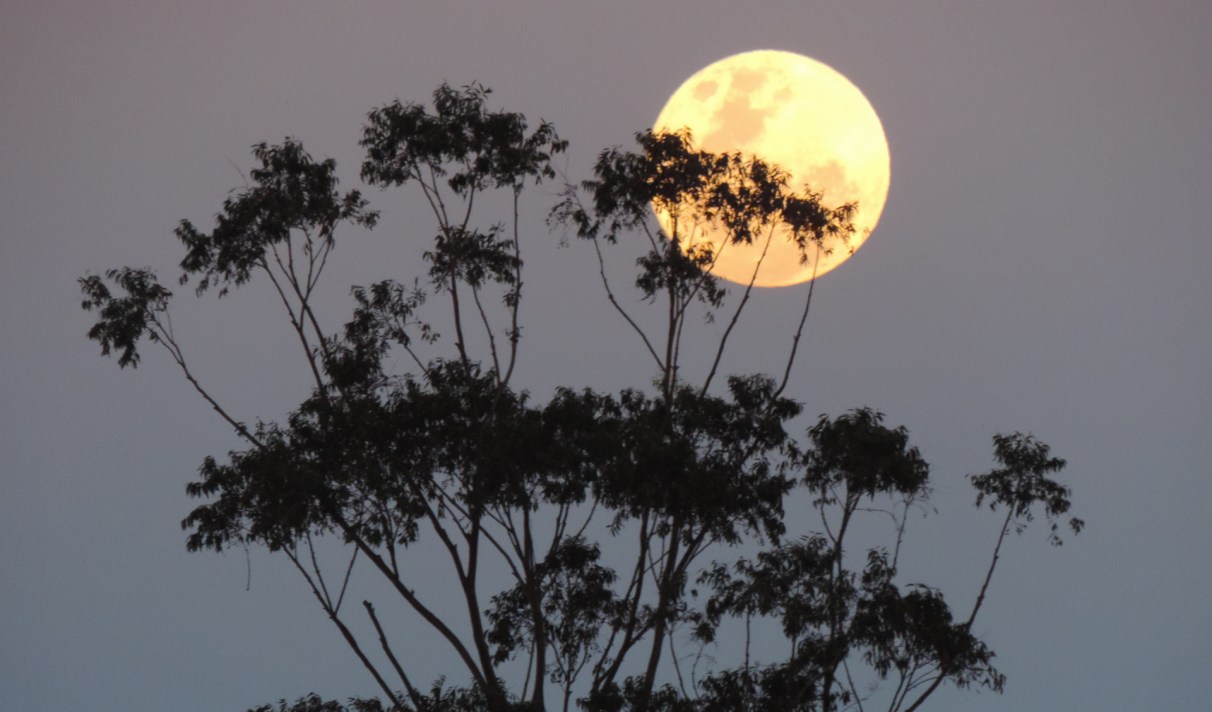 Comment Observer La Troisieme Super Lune De 2019 Ce 21 Mars