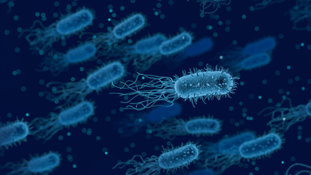 bactérie mer microbe bleu