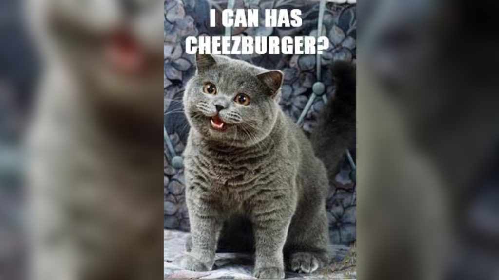 i-can-has-cheezburger-meme