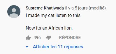 commentaire-youtube-cat