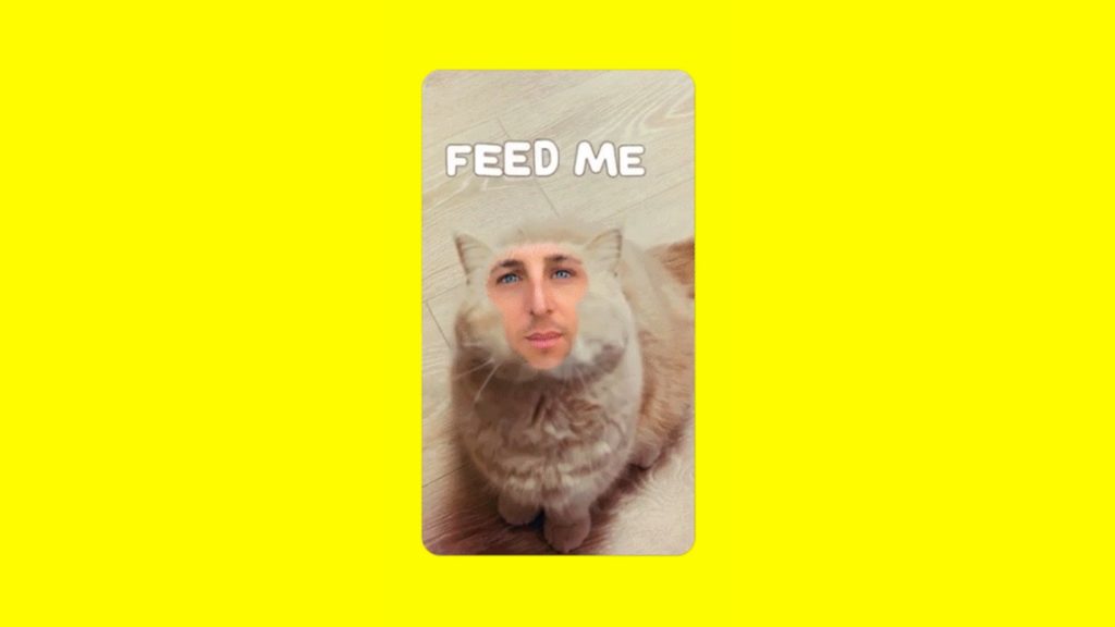 cameossnap