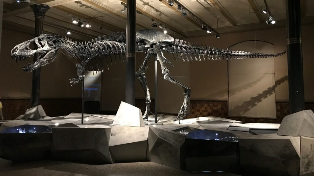dinosaur-2368476_1920