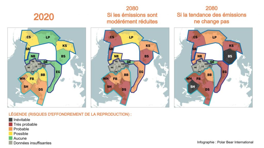 InfographieOurs2100 (1)