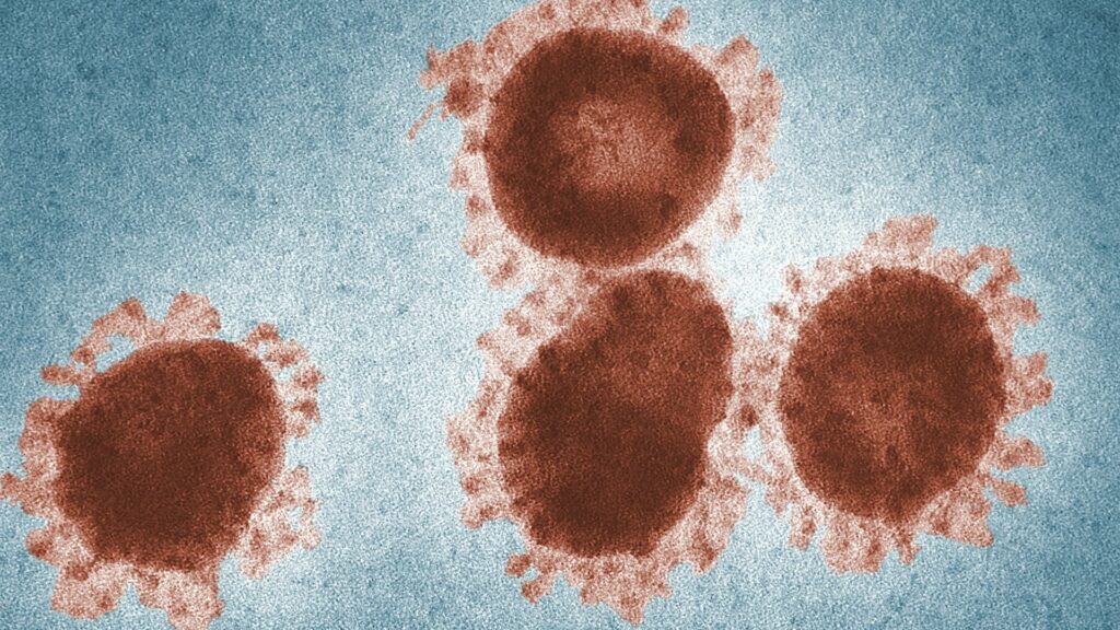 microscopic-shot-of-a-virus-3992945