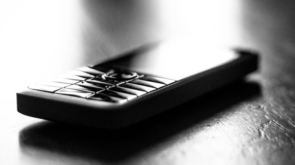 Nokia 301