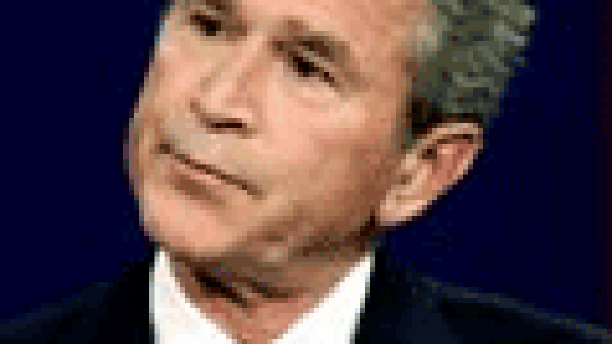 bush.png