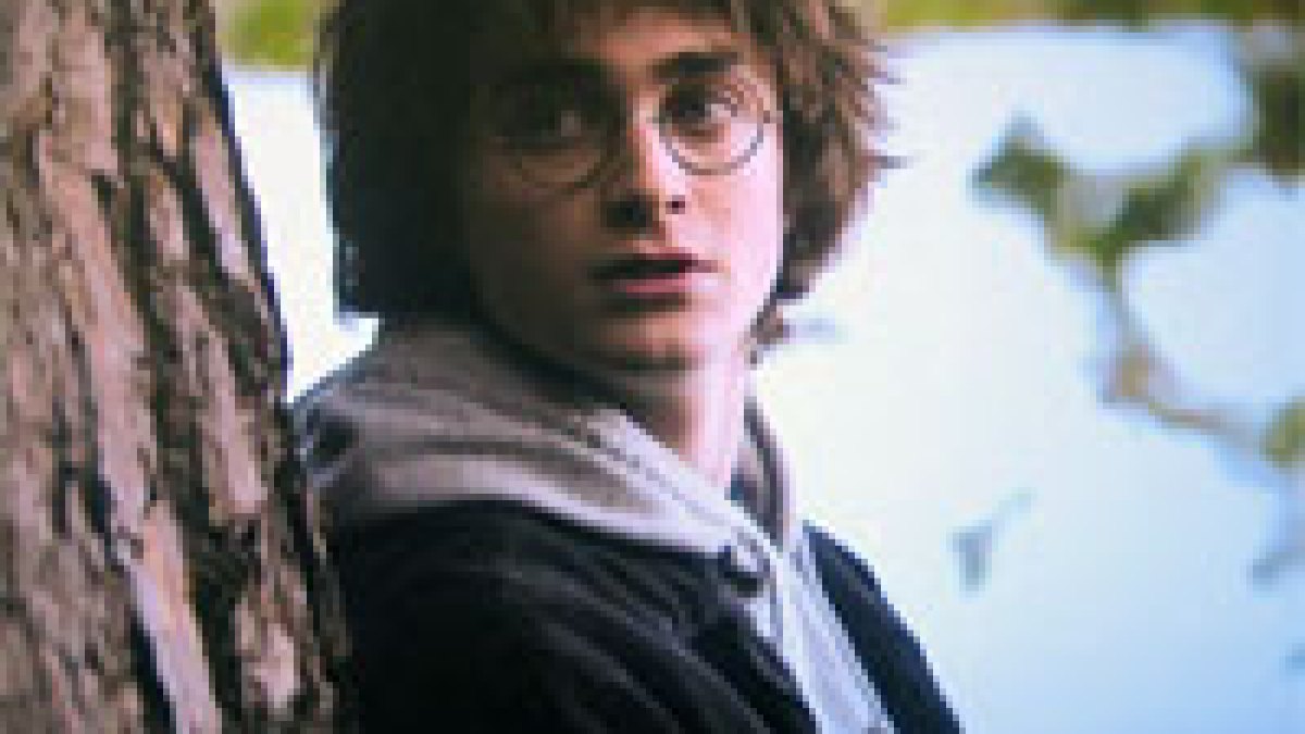 harry4.jpg