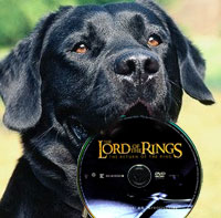 lordog.jpg lordog.jpg