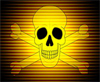 elamb_skull_bg.jpg elamb_skull_bg.jpg