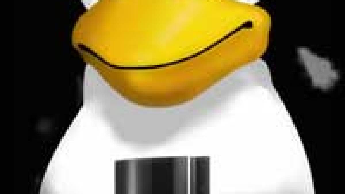 ps3tux.jpg