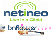 bnflowernetineo.gif