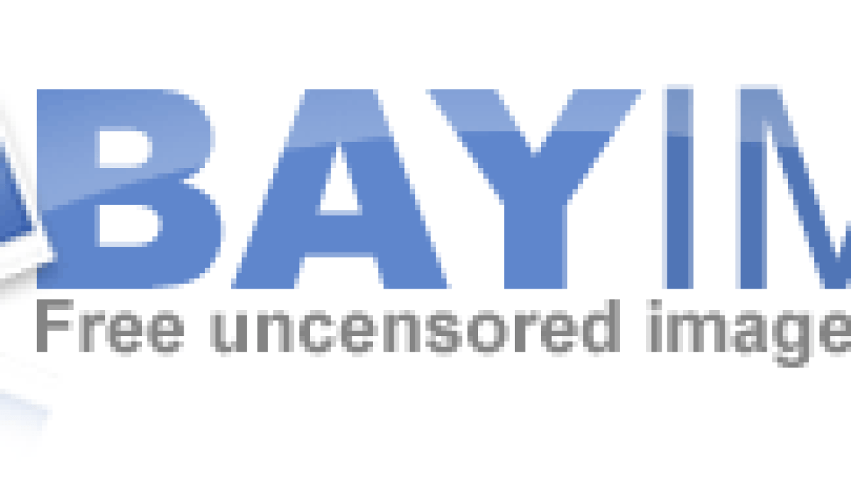 logobayimg.gif