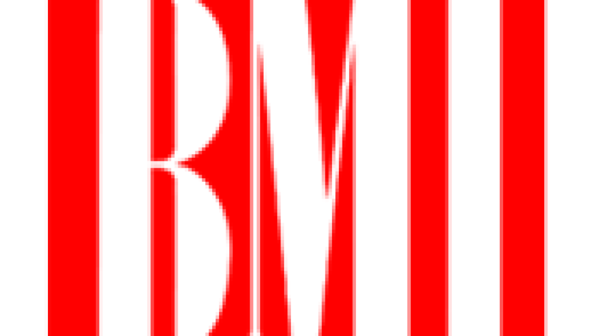 bmi-logo.gif