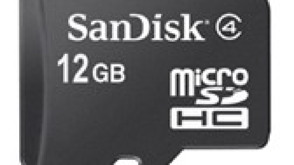 sansdisk microsd(1).jpg