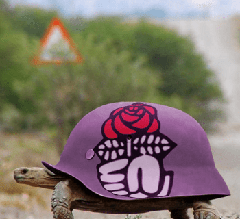 socialistes-carapace.png