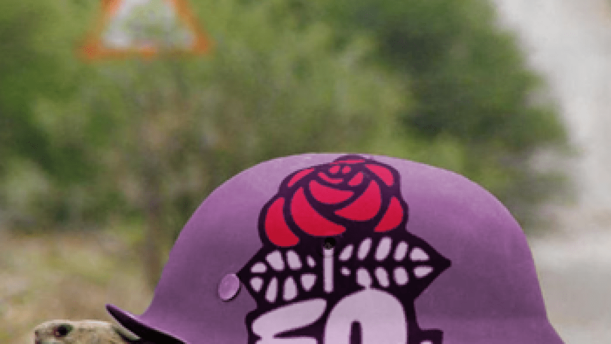 socialistes-carapace.png