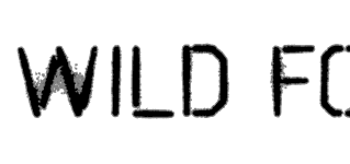 wild_fox_logo.png