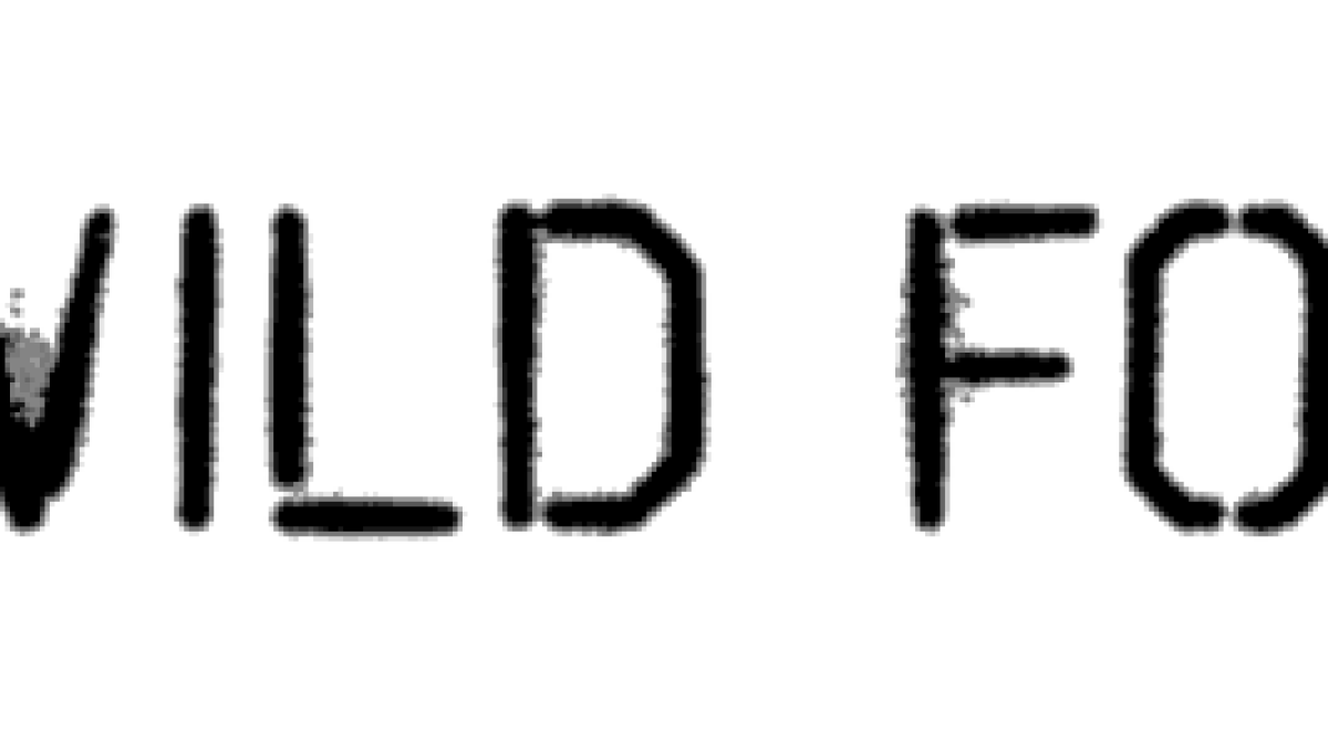 wild_fox_logo.png