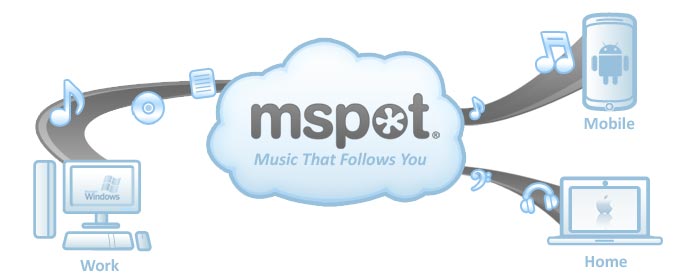 mspot.jpg