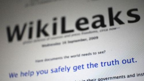 wikileaksscreen.jpg