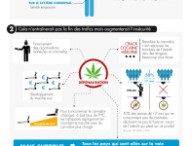 ump-infographie-cannabis.jpg