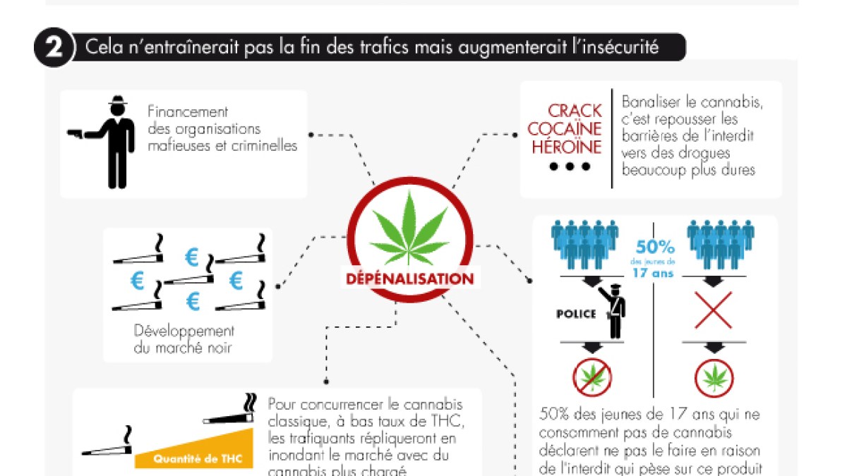 ump-infographie-cannabis.jpg