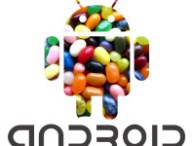 Android-Jelly-Bean.jpe