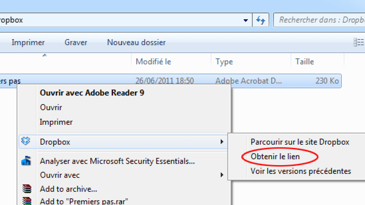 dropbox-obtenir-le-lien.png