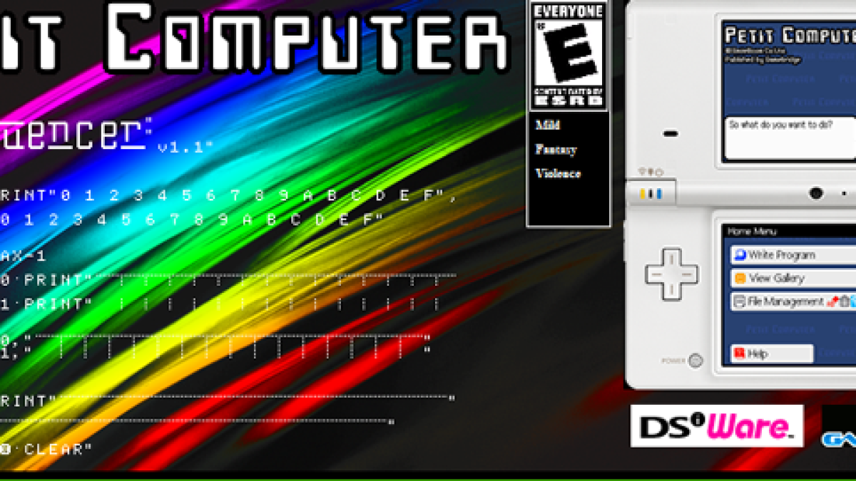 dsi-petitcomputer.png