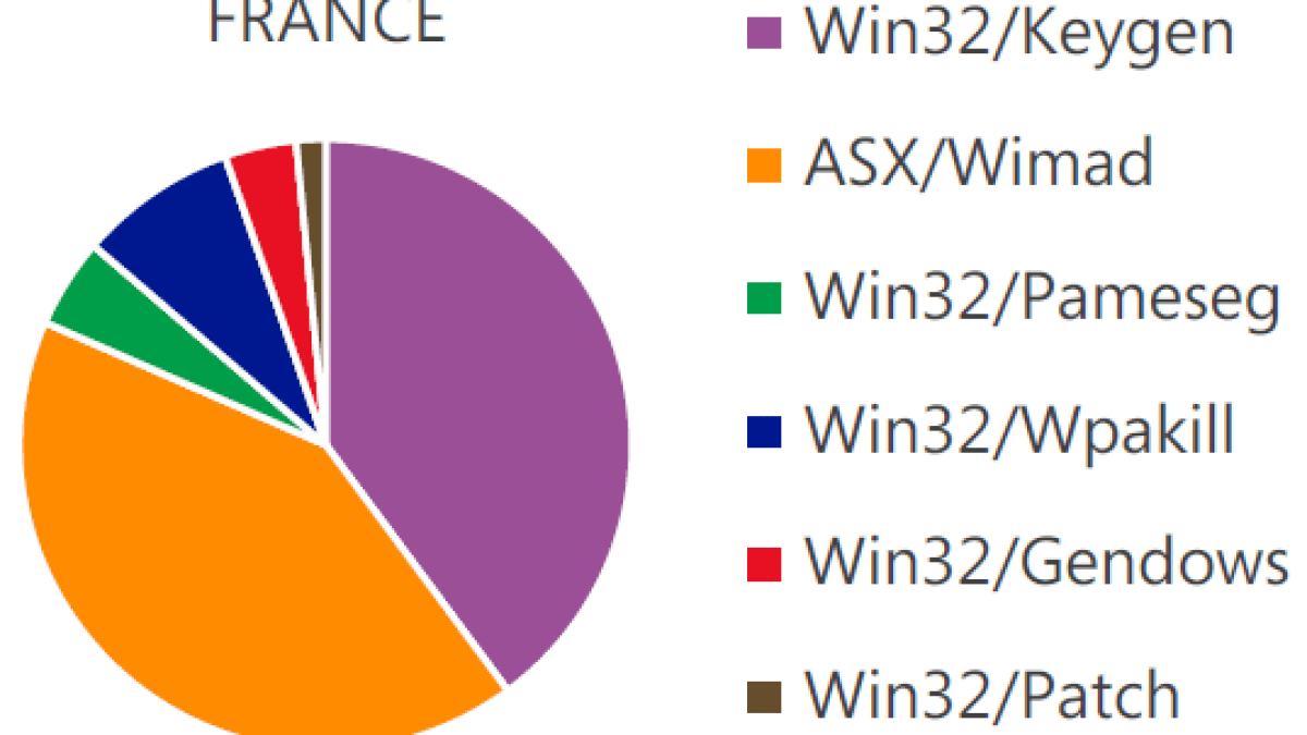 france-msir13.png