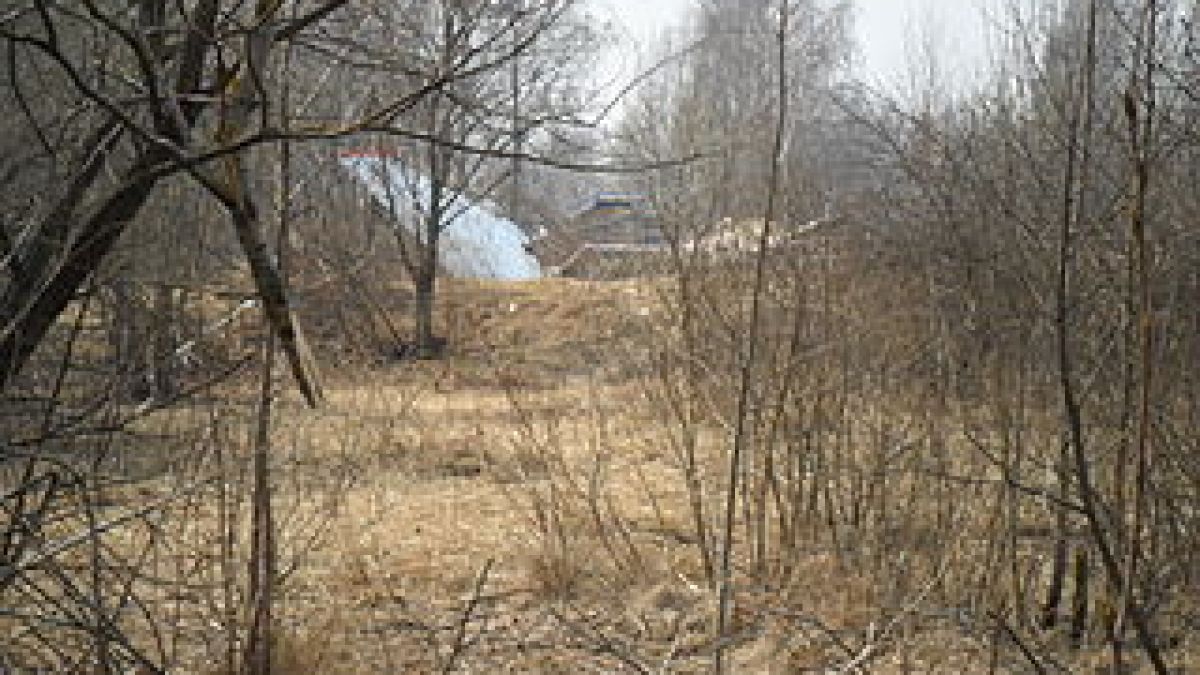 320px-2010_polish_air_force_tu-154_crash_002.jpg